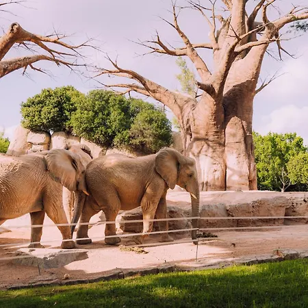 Ubytování v soukromí Centrica De Lujo Gv 3 *